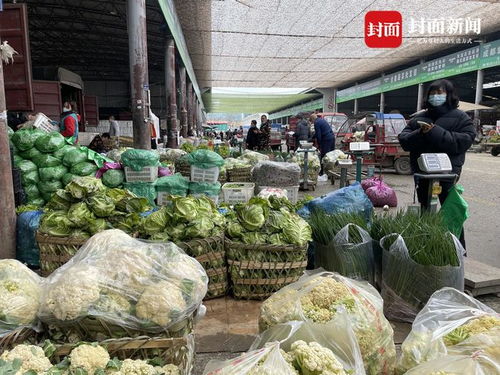 成都農產品中心批發市場 蔬菜肉類供應充足，部分區域實行限時交易