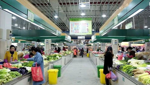 路橋食光 共享美味，打造農產品批發新生態