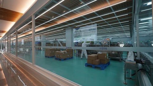 未來生物 以卓越品質(zhì)與專業(yè)服務(wù)，鑄就生物技術(shù)開發(fā)領(lǐng)域的信賴之選